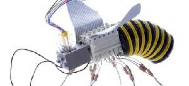 В чем разница между вирусом и вредоносным ПО?