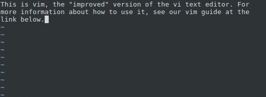 Текстовый редактор vim, работающий на Linux