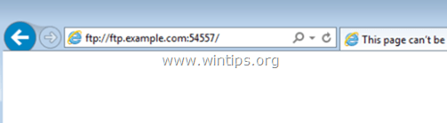 FTP-доступ через веб-браузер