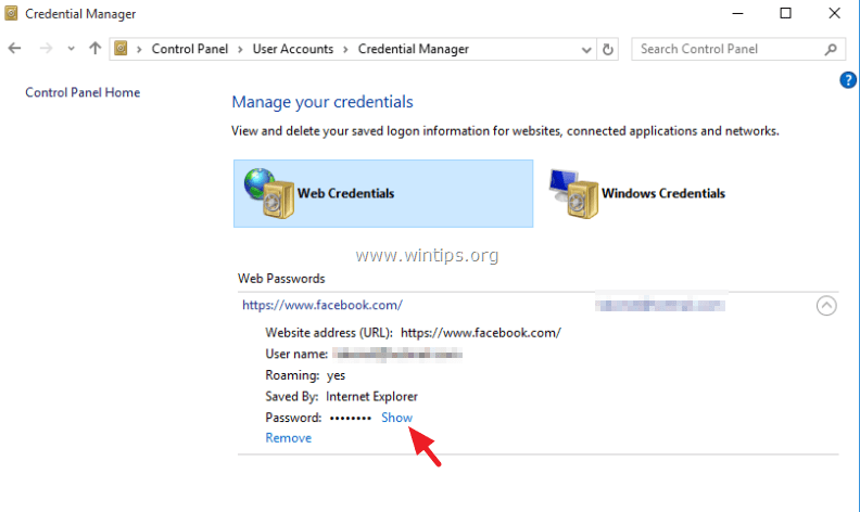 Microsoft Edge Показать сохраненный пароль