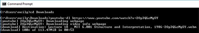 Снимок экрана: Запуск youtube-dl в командной строке Windows.