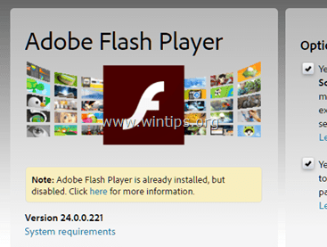 Отключить Chrome Flash Player